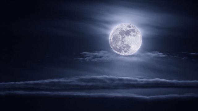 望月有感白居易古诗的意思是什么