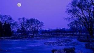 席慕蓉的散文《有月色的夜晚》