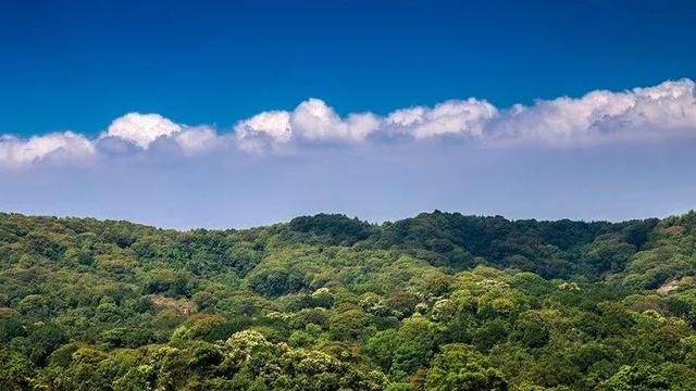 “三个代表”重要思想形成的社会历史条件是什么能不能少点