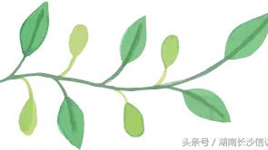 傳統文化的現實意義