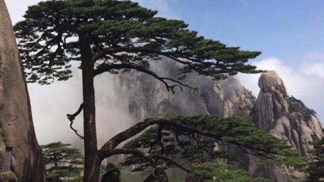 準備爬黃山全程步行需要多少時間呀