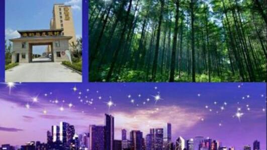 給點威海的海景樓盤信息什么都要