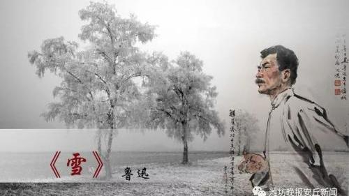 鲁迅先生的名言