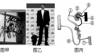 有机溶剂中酶的催化作用有何特点