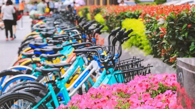 四川師范大學獅子山校區附近學生能自己租房嗎?校外整年租??費用如何?一年多少錢???川師學生回答