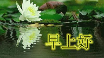 关于早晨和中午的四字词语,要多