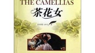 藍兮的金色花的讀后感急死了快哦