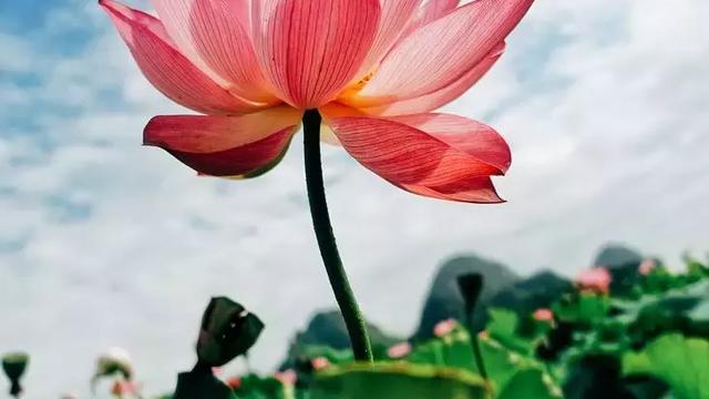 端午節旅游好去處端午節適合去哪里玩