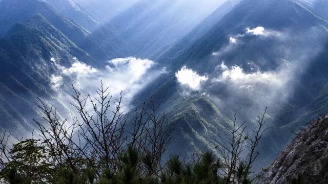 攝影證免門票嗎