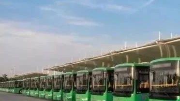 亳州杏壇家園坐多少路到狗市