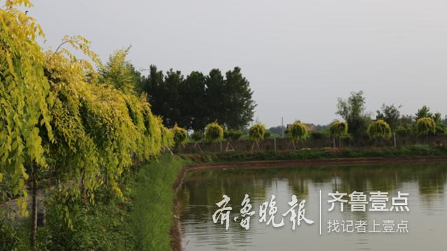 日照市鼎昌建筑工程有限公司怎么樣