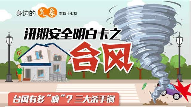 台风所造成的损失