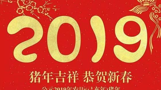 求言情小说：极品哥哥