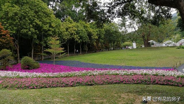 誰知道韶關哪里有花場就是專門種花的花園特別是有玫瑰的`