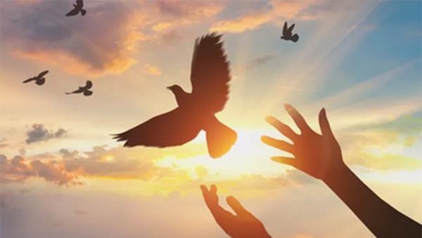 有关理想的名人名言的诗句