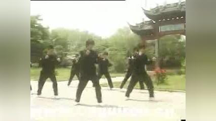 武术散打