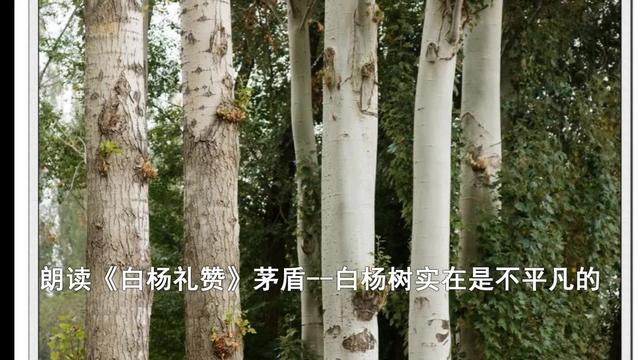 求适合女生朗诵的诗歌散文最好是俏皮点的活泼的参加学校朗诵比赛用