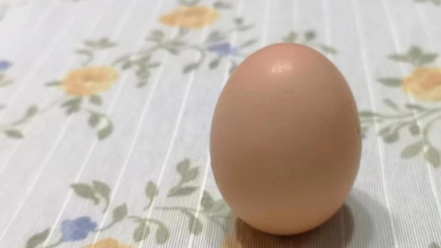 蛋生和卵生有区别马