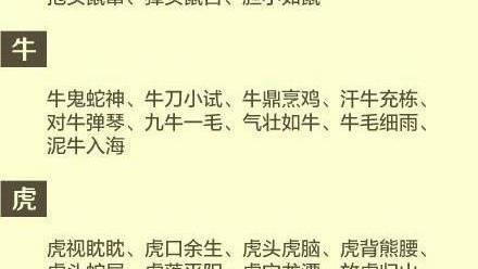 欢什么笑什么（写四字词语）
