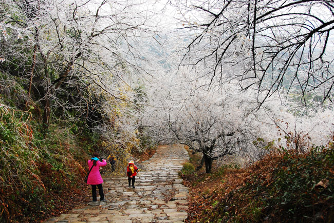 南雄的梅岭古道是冬季欣赏雪景的胜地,每到飘雪的日子,梅关古道总是聚