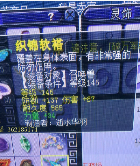 梦幻西游：69神豪带4只神马雷鸟人，第一高伤宝宝装价值50万？