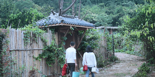 时间有点忒快了，又是一年忙秋收的季节