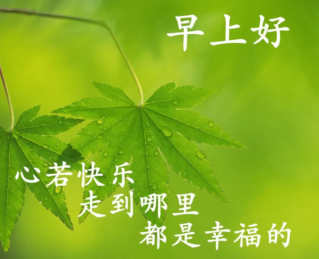 祝大家每天都充满希望,心想事成!