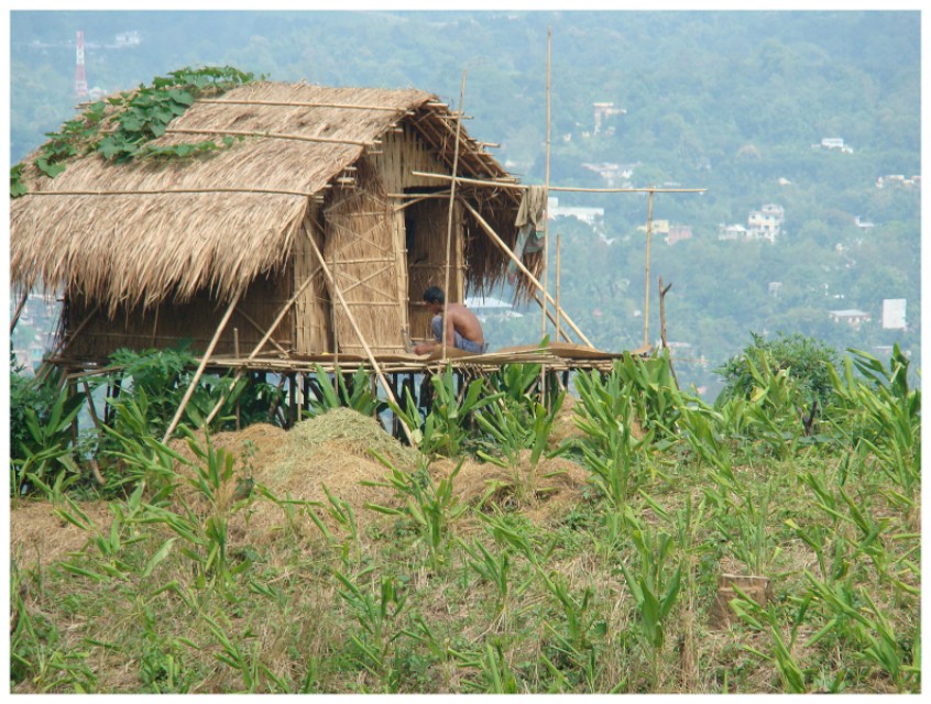 西藏的水对印度重要吗？