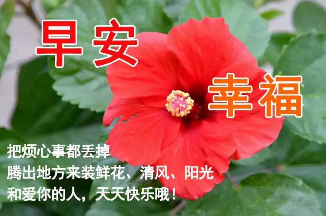 11月29日,最新早上好祝福图片,早安暖心问候祝福语图片