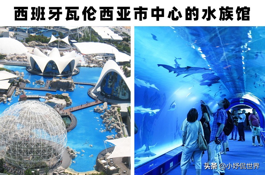 世界上存在着的11个巨大而神奇的水族馆