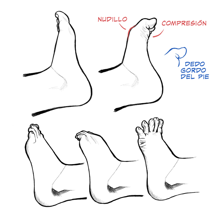 动漫人物手脚如何绘制各种人物手脚画法步骤解析