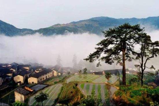 满足一切古村梦的“最后江南秘境”——松阳