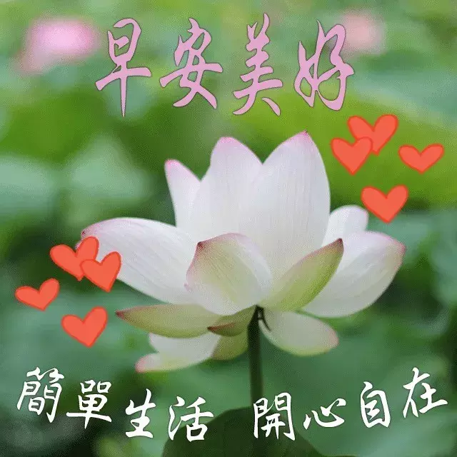 甜甜的早安语给女朋友,祝你幸福,笑容甜甜