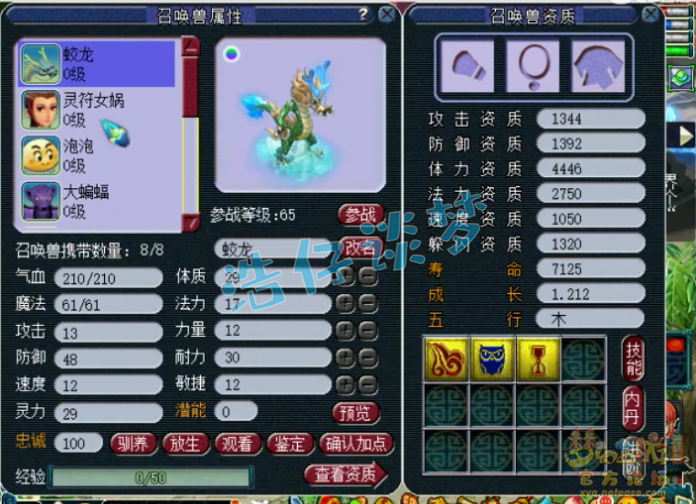 梦幻西游：高价入手一只“地五狗”，全力加点带5件套，很奇葩