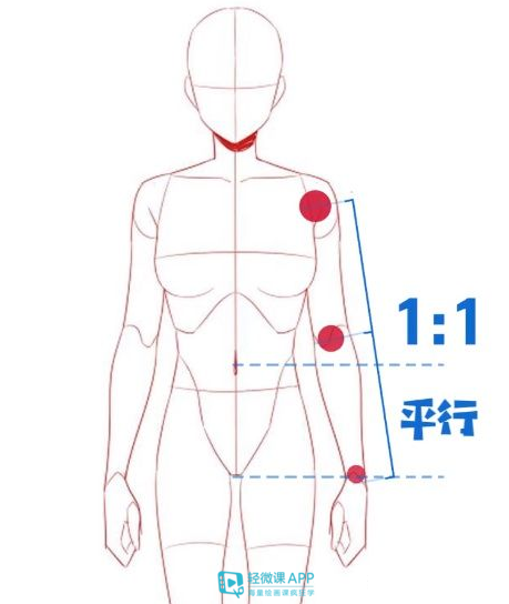 身高了3,手腕的位置正好与胯部平行2,手臂自然下垂时手肘的位置正好与