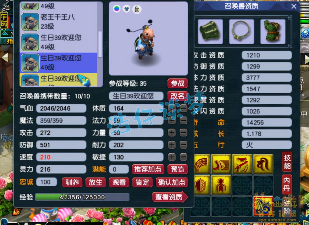 梦幻西游：39罕见花果山，全身30级装备酷爱龟丞相，8只带特殊
