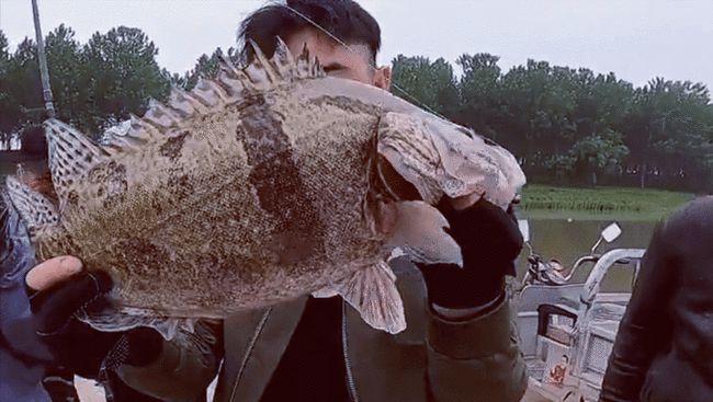 桂鱼怎么钓鳜鱼怎么钓3大钓点4大钓法1点要特别注意