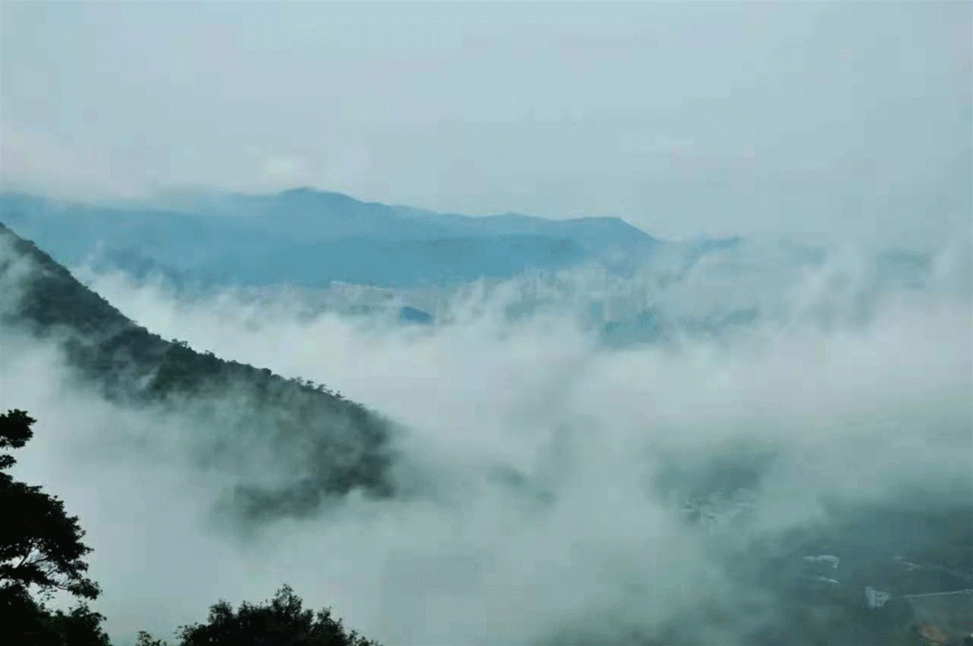 遇见观音山22的夏天云雾缭绕醉人心
