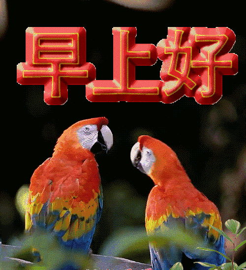 2021正月十九早安祝福语短信大全 周二早上好问候动态