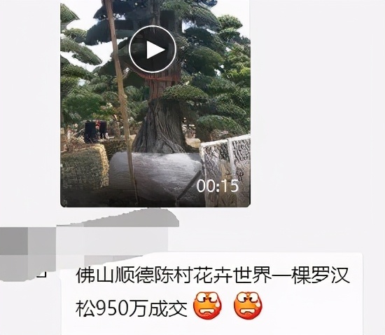 福建有钱人住的不是别墅，请尊称它一声城堡