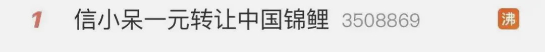 信小呆从“中国锦鲤”到“诈骗犯”的跌落史