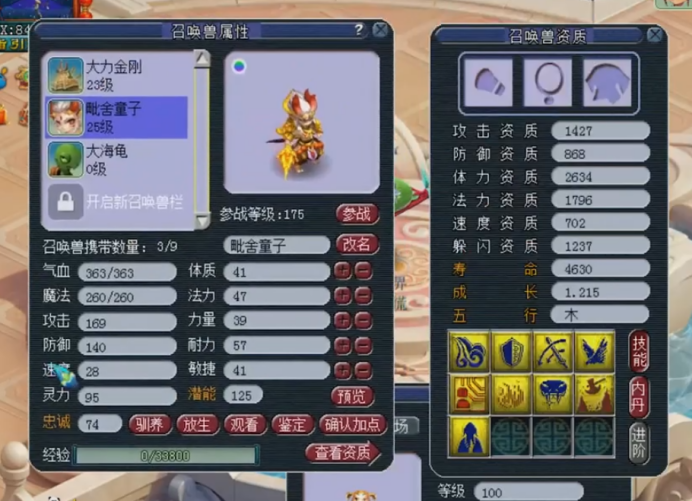 梦幻西游：别人家的合宠！即使出了大海龟，但是还是很开心