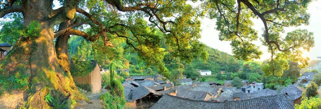 满足一切古村梦的“最后江南秘境”——松阳
