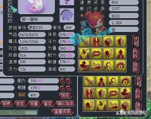 梦幻西游：12技能的第1猫灵打神马，珍宝阁涛哥9万买160不磨项链