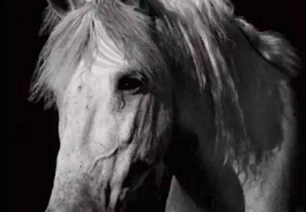 杨洁导演与《西游记》的悲欢离合