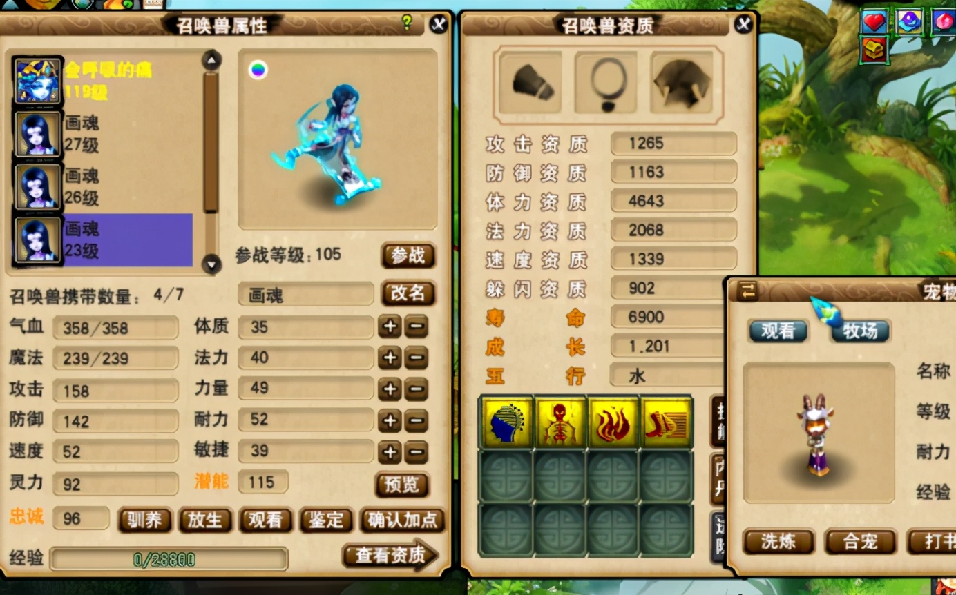 梦幻西游：玩家钟情于净台妙谛画魂，三组低成本合宠，收获不错