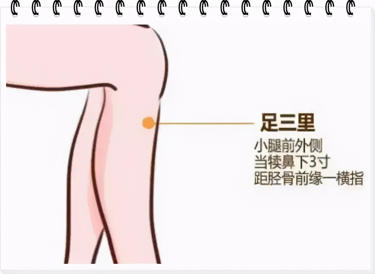 在足三里,上巨虚等穴位进行按摩,每天按摩5分钟,能够增强胃肠道运动