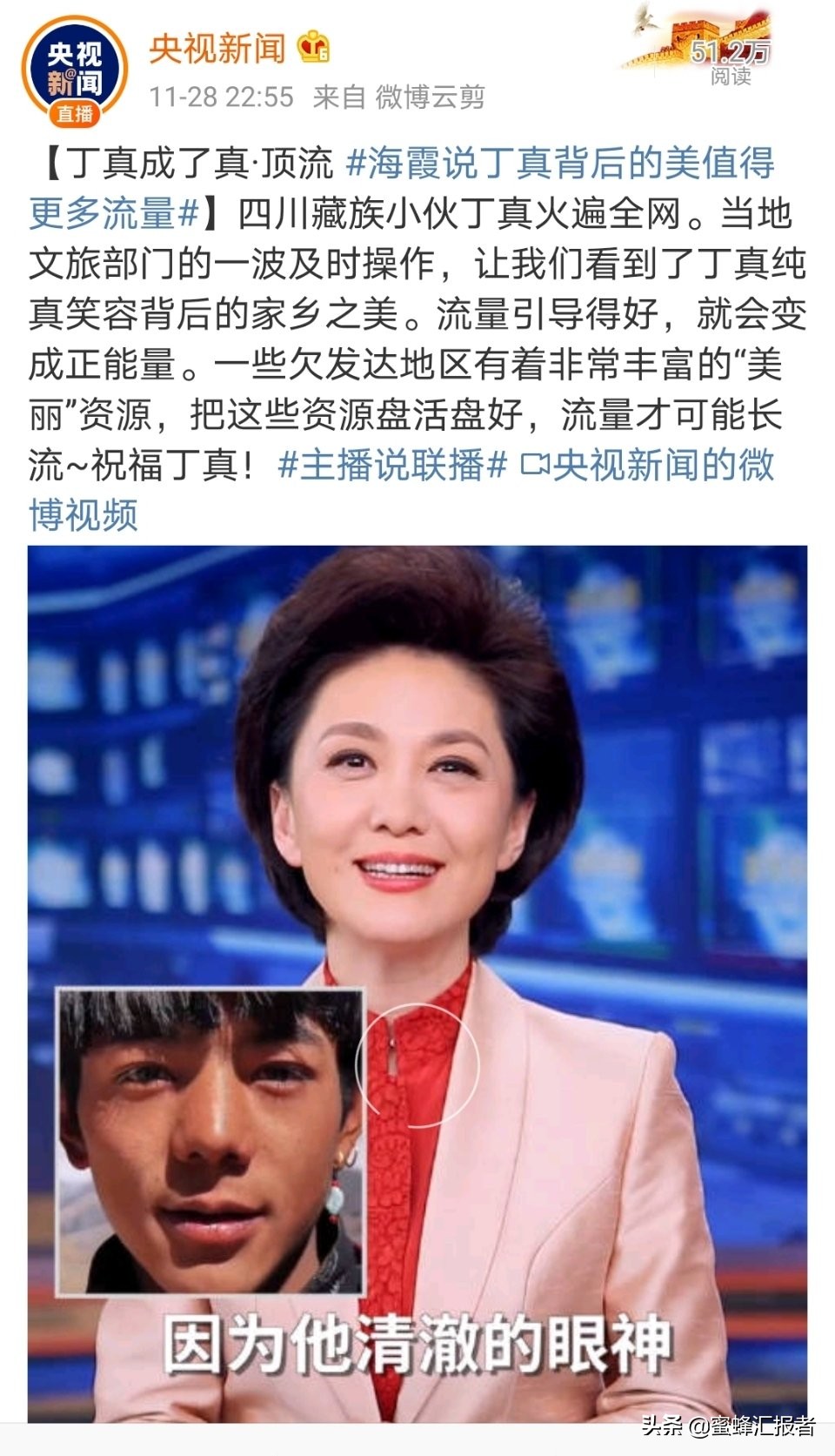 央视主播海霞点评丁真走红真正原因是什