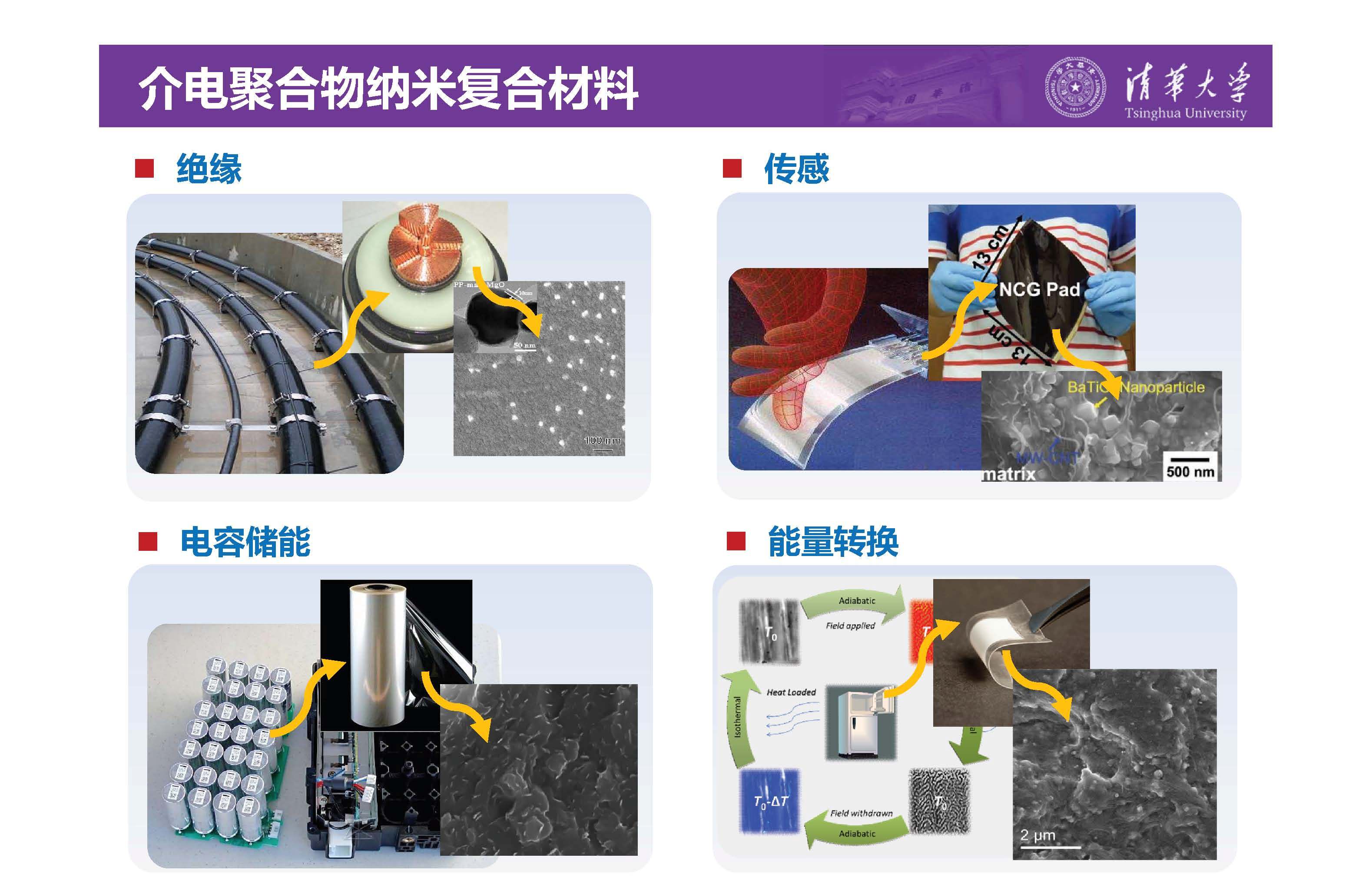 清华大学李琦副教授介电纳米复合材料界面微区的原位测试技术