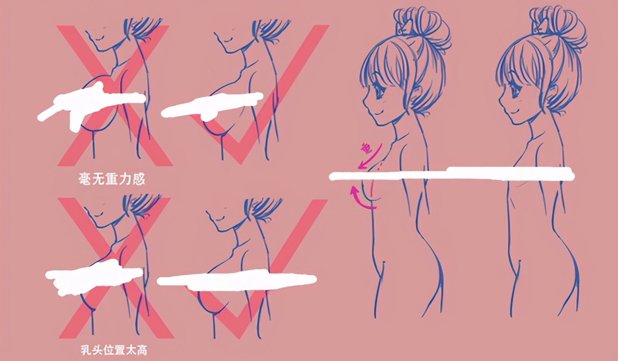 不懂女性胸部怎么画二分钟教你画胸部要画出软软的感觉